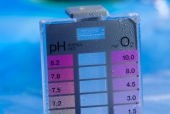 MINITESTER Kyslík/pH